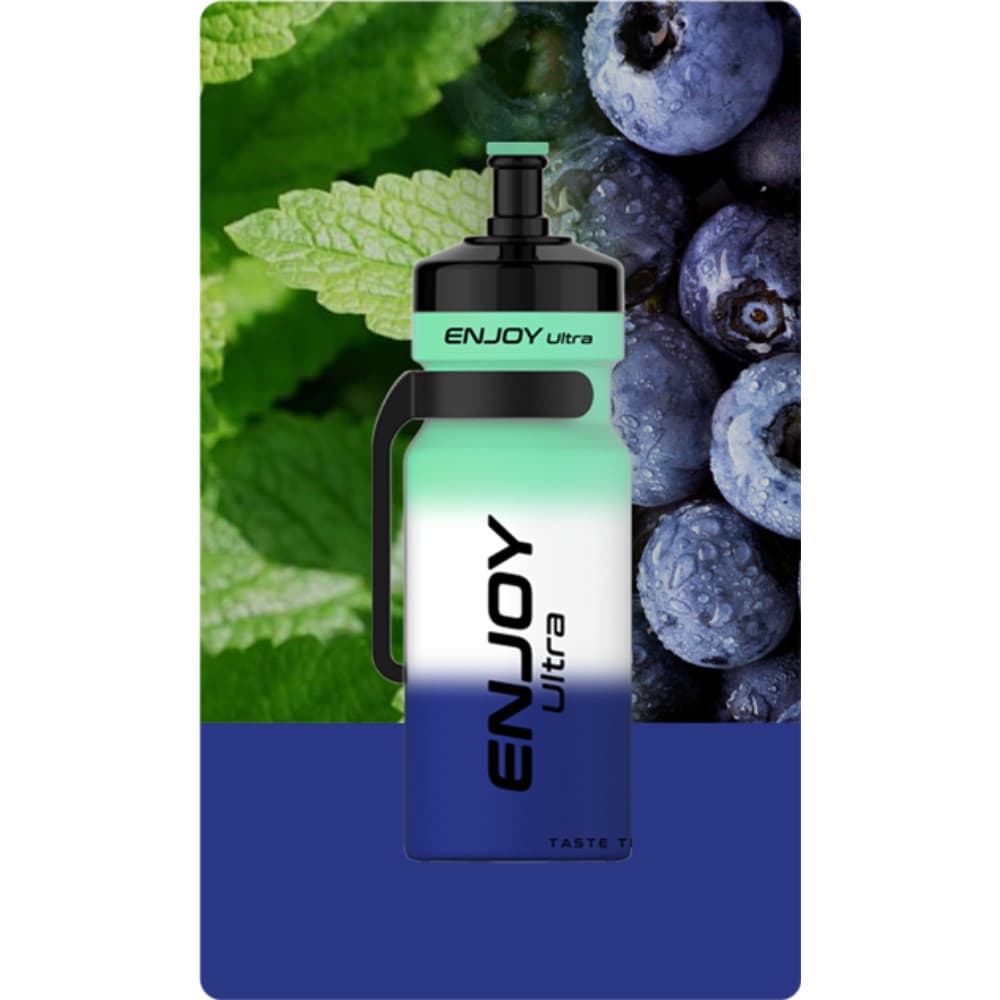  Paradise Enjoy Ultra 9000 Prefilled Pod Vape Kit