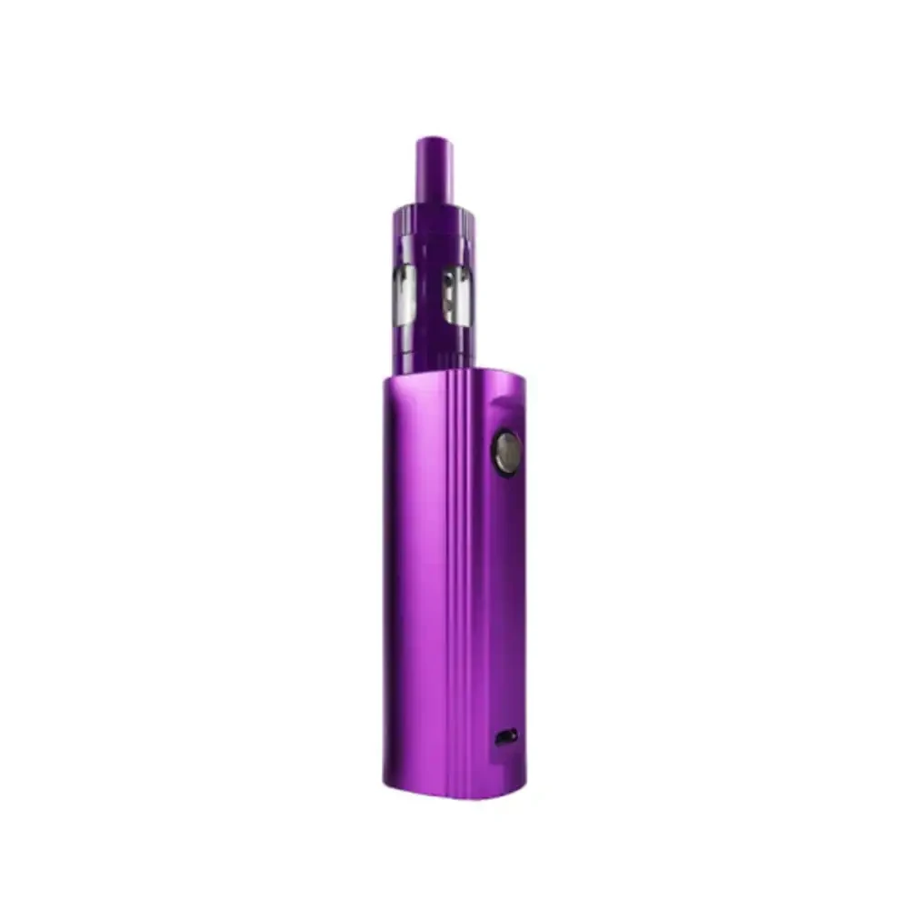  Purple Innokin Endura T22e Vape Kit